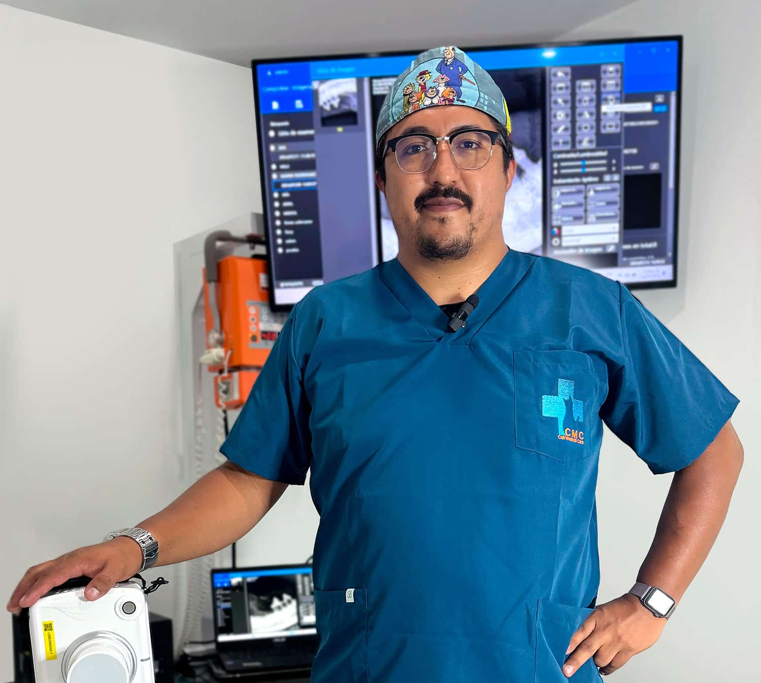 Gato disfrutando de un hogar tras ser rescatado