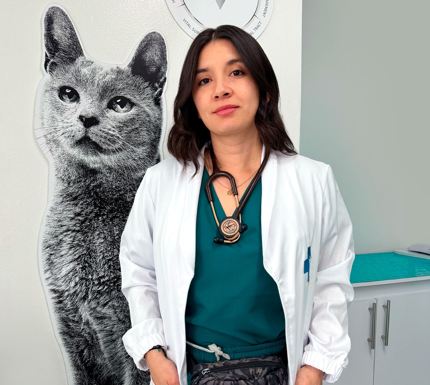 Camillas y equipos modernos en la clínica veterinaria