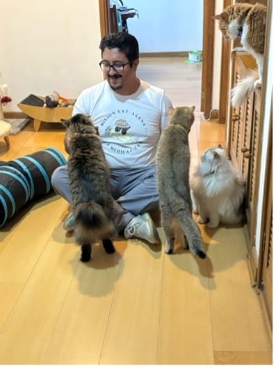 Gato siendo tratado con cariño y profesionalismo