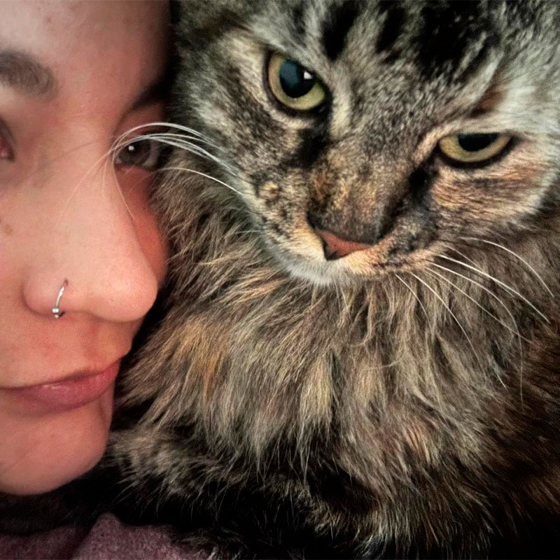 Impacto positivo de las campañas de esterilización