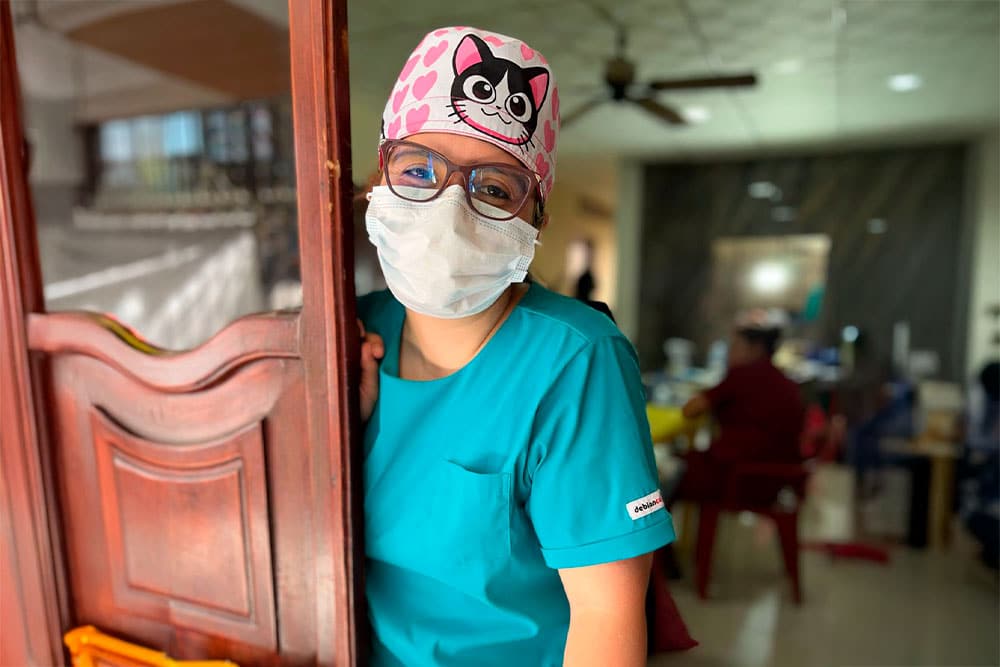 Felinos en consulta médica en Cat Medical Care