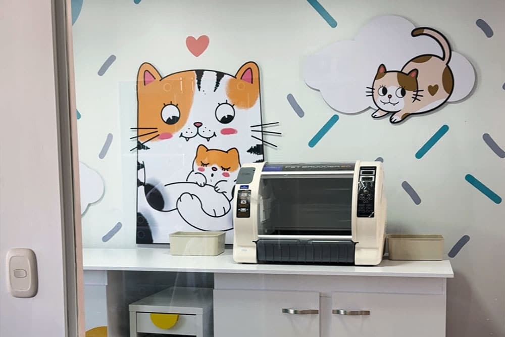 Servicios médicos profesionales para gatos en Bogotá